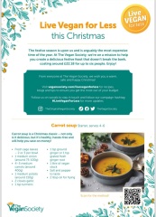 Budget Xmas Dinner - vegan/veggie