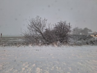 The Nigel Slater Christmas Chronicles readalong 2025 - Part 2