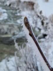 Year round Nigel Slater discussion thread - Part 3