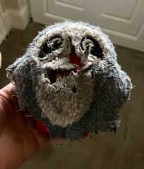 Puppy Survival Thread Autumn 2025 - all welcome!