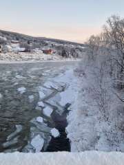 Year round Nigel Slater discussion thread - Part 3