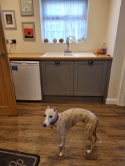 What colour tiles in my kitchen?