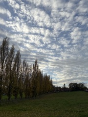 The Nigel Slater Christmas Chronicles Readalong 2025