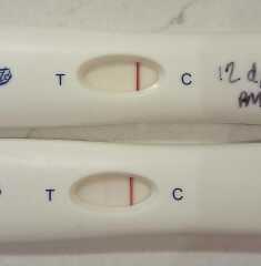 What's as good as First Response?