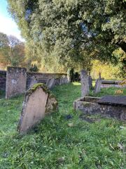 The Nigel Slater Christmas Chronicles Readalong 2025