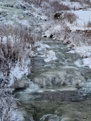 Year round Nigel Slater discussion thread - Part 3