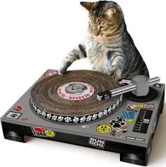 Scottish Tourism - the Excellent Cats debate Gizmo's suitability as a top influencer