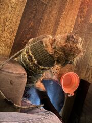 Thread #6, living with incurable cancer, taking ALL the drugs, and remembering our fallen comrades