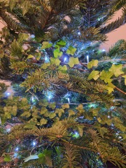 The Nigel Slater Christmas Chronicles readalong 2025 - Part 2