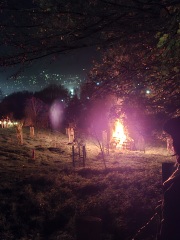 The Nigel Slater Christmas Chronicles Readalong 2025