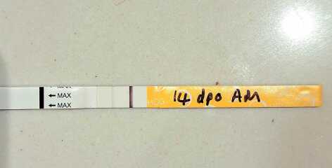 What's as good as First Response?