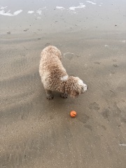 Daily Project round 8