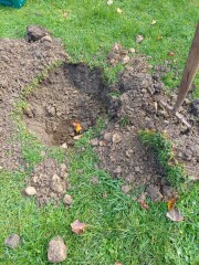 The potting shed: sheltering from the rain and musing about the garden