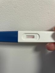 Morrisons Pregnancy Tests