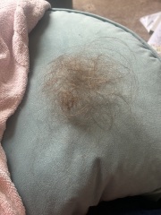 I’m actually ready to shave my hair off I can’t  cope with this.