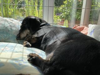 The Bluestocking - Raiders of the Lost Sparp