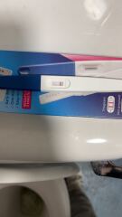Pregnancy test