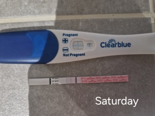 Due July 2026 🤍