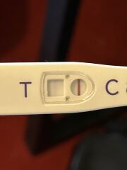 TTC TWW October 2025 🫶🏻