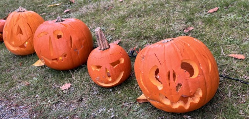 Come and tell us your dull and unexciting news 34: Calmly through the day