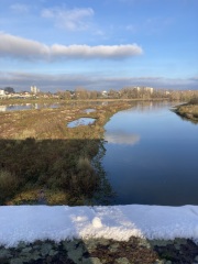 The Nigel Slater Christmas Chronicles readalong 2025 - Part 2