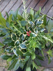 What are you up to today if you have chronic illness? Thread 3