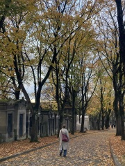 The Nigel Slater Christmas Chronicles Readalong 2025