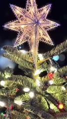 Come and tell us your dull and unexciting news 34: Calmly through the day