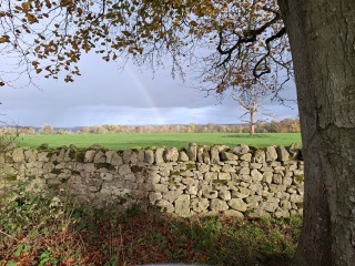 The Nigel Slater Christmas Chronicles Readalong 2025