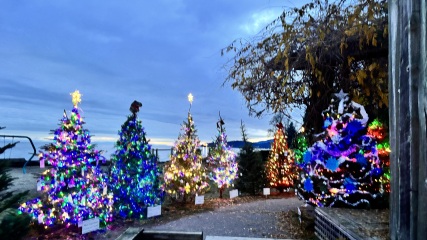 Come and tell us your dull and unexciting news 34: Calmly through the day