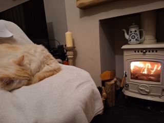 The Nigel Slater Christmas Chronicles Readalong 2025