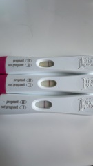 4 weeks 4 days- 13dpo. Chemical