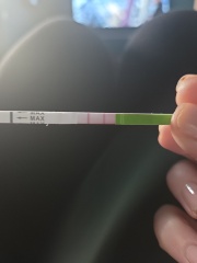 Ovulation test normal?