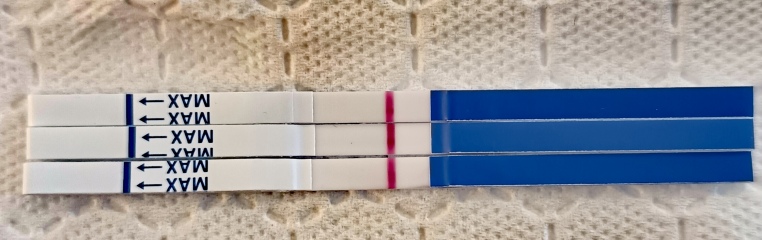 Just feeling so meh this morning