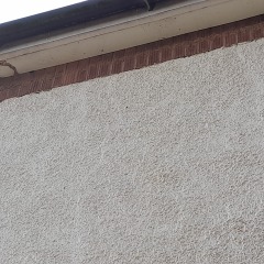 What could be cause of damp/moulds - how to get help