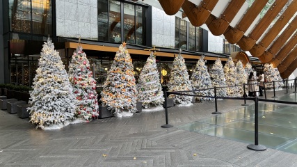 Come and tell us your dull and unexciting news 34: Calmly through the day