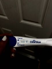 Clearblue VFL