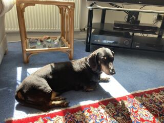 The Bluestocking - Raiders of the Lost Sparp