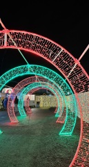 Daily Project round 8