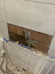 Mould problems in bungalow. Recently concerned for my health and don’t know what to do next. Please help