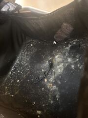 So - mould in property I’ll attach some pics