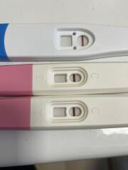 Morrisons Pregnancy Tests