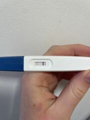 Morrisons Pregnancy Tests