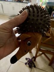 Puppy Survival Thread Autumn 2025 - all welcome!