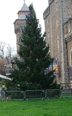 The Nigel Slater Christmas Chronicles Readalong 2025