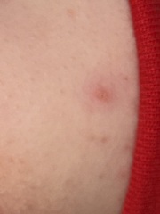 Anyone know what these are?