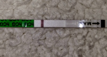 Could I be pregnant? Early stages?