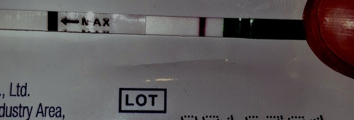 Could I be pregnant? Early stages?