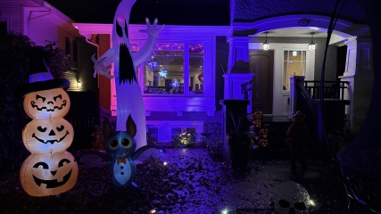 Daily Project round 8