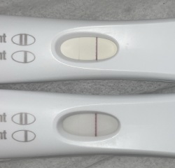 Tests